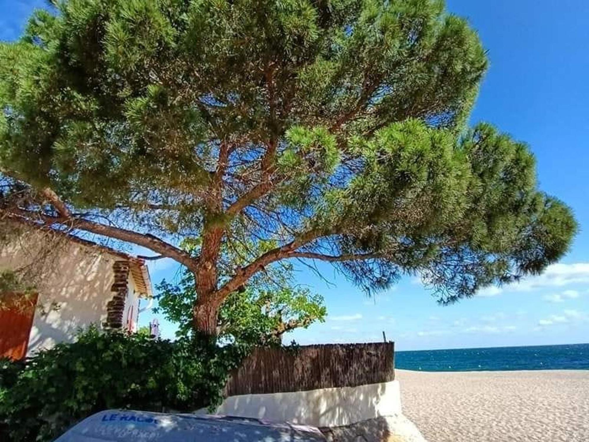 Pavillon 6 Pers A Argeles-Sur-Mer: Piscine, Clim, Parking, Wifi, Proche Plage - Fr-1-776-5 Exterior photo